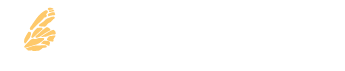 Little Wings Logo