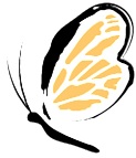 Little_Wings_Favicon_Apple_iPad_Retina